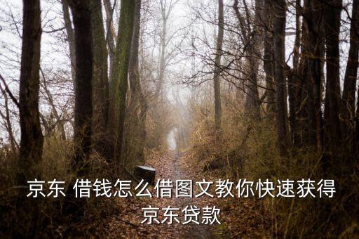 京東 借錢(qián)怎么借圖文教你快速獲得 京東貸款