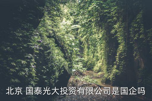 北京 國(guó)泰光大投資有限公司是國(guó)企嗎