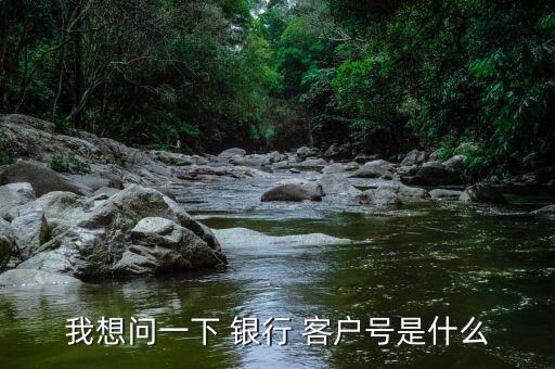 我想問一下 銀行 客戶號(hào)是什么