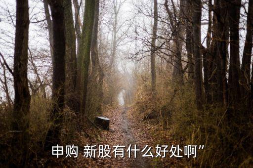  申購(gòu) 新股有什么好處啊”