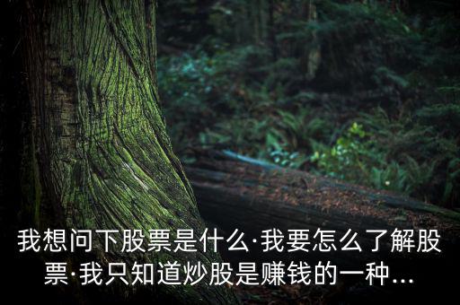進行個股簡單說明怎么寫,投資股票要學(xué)會釣魚，學(xué)會吃魚!