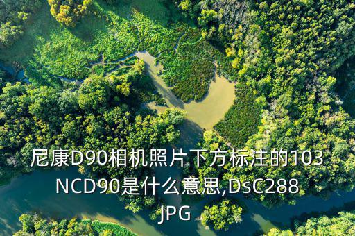 怎么轉(zhuǎn)換ncd文件,如何從電腦中找到打開(kāi)cdr文件?