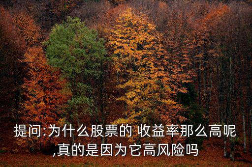 提問:為什么股票的 收益率那么高呢,真的是因為它高風險嗎