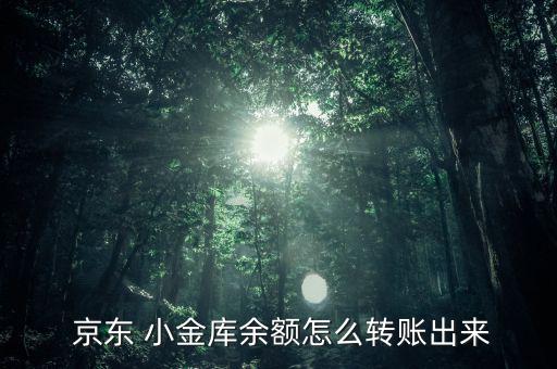  京東 小金庫(kù)余額怎么轉(zhuǎn)賬出來(lái)