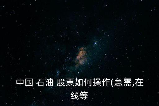 中國(guó)石油股票怎么買官方網(wǎng),中國(guó)申花的股市表現(xiàn)就知道結(jié)果了!