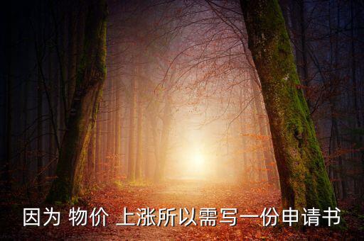 因?yàn)?物價(jià) 上漲所以需寫一份申請書
