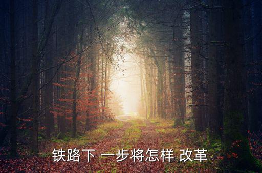 鐵路下 一步將怎樣 改革