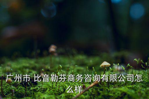 比音勒芬工資怎么樣,比音勒芬品牌是中國品牌男裝