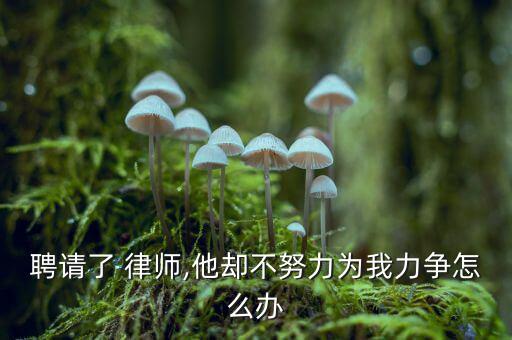 聘請了 律師,他卻不努力為我力爭怎么辦