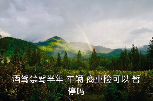 車(chē)輛商業(yè)保險(xiǎn)怎么暫停,商業(yè)保險(xiǎn)可退保嗎?