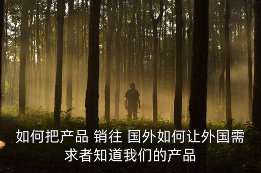 如何把產(chǎn)品 銷往 國(guó)外如何讓外國(guó)需求者知道我們的產(chǎn)品