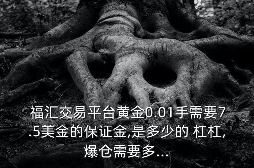 福匯杠杠怎么調,fxg福匯外匯交易是保證金交易模式