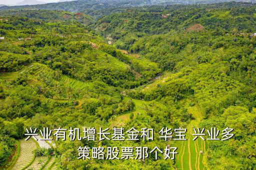  興業(yè)有機(jī)增長(zhǎng)基金和 華寶 興業(yè)多策略股票那個(gè)好