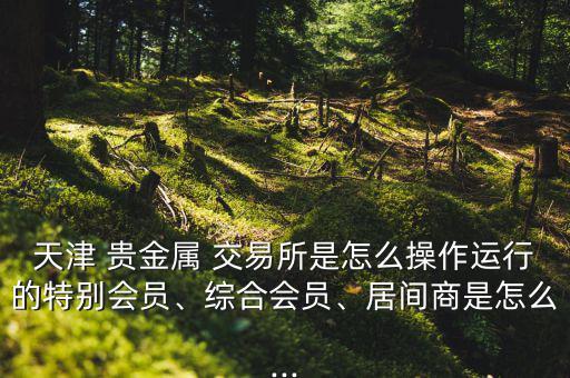 天津 貴金屬 交易所是怎么操作運行的特別會員、綜合會員、居間商是怎么...