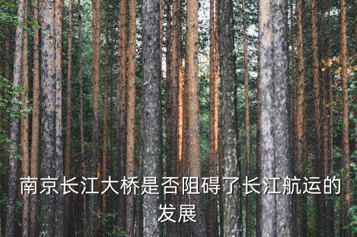 萬(wàn)噸輪怎么過南京,南京長(zhǎng)江大橋凈空太低影響航運(yùn)發(fā)展