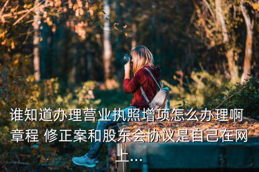 誰(shuí)知道辦理營(yíng)業(yè)執(zhí)照增項(xiàng)怎么辦理啊 章程 修正案和股東會(huì)協(xié)議是自己在網(wǎng)上...