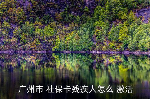  廣州市 社?？埣踩嗽趺?激活