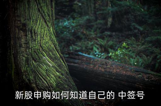 新股申購(gòu)如何知道自己的 中簽號(hào)