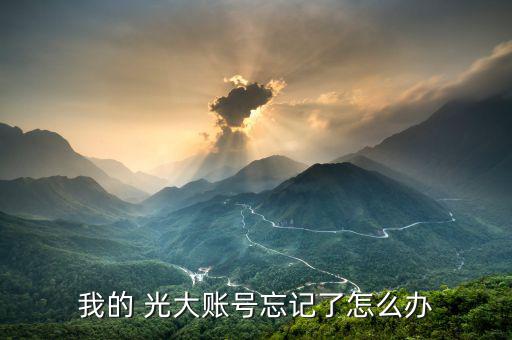 怎么查詢(xún)光大證券里的資金,新加坡理財(cái)在線｜羅清全
