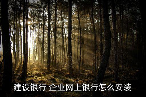 建設銀行 企業(yè)網(wǎng)上銀行怎么安裝