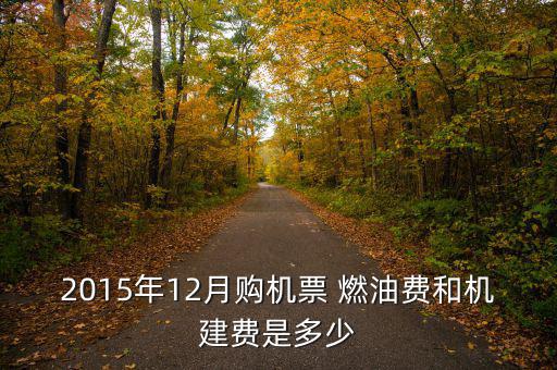 2015飛機(jī)燃油費(fèi)怎么算,我國(guó)取消機(jī)場(chǎng)建設(shè)費(fèi)和燃油費(fèi)