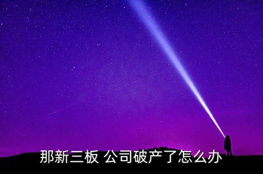 那新三板 公司破產了怎么辦