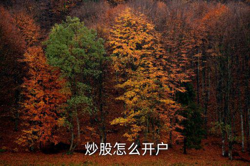  炒股怎么開(kāi)戶