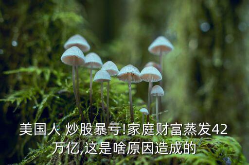 美國(guó)人 炒股暴虧!家庭財(cái)富蒸發(fā)42萬億,這是啥原因造成的