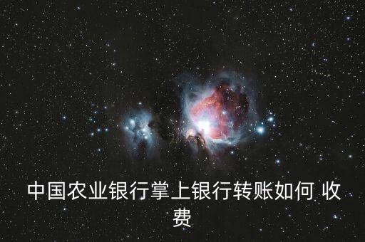  中國農(nóng)業(yè)銀行掌上銀行轉(zhuǎn)賬如何 收費