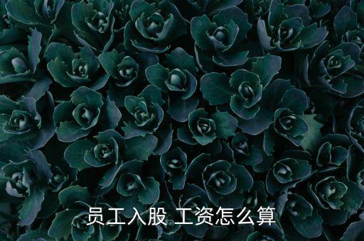 員工入股 工資怎么算
