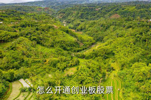 怎么開通創(chuàng)業(yè)板股票