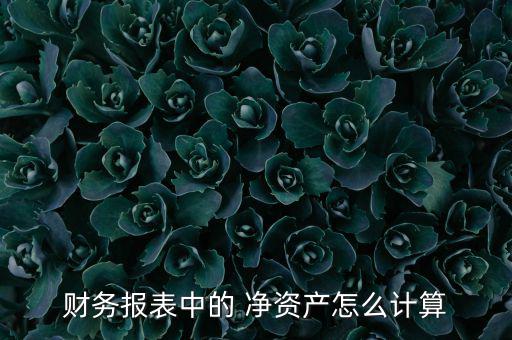 財(cái)務(wù)報(bào)表中的 凈資產(chǎn)怎么計(jì)算