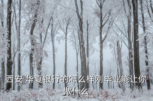 華夏銀行總會(huì)計(jì)怎么樣,股份制銀行收入明顯高于大型國有銀行