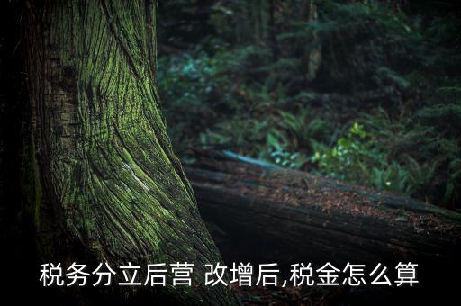 稅務(wù)分立后營 改增后,稅金怎么算