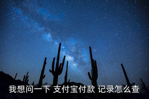 支付寶怎么看消費(fèi)記錄,通過(guò)支付寶查詢(xún)bao消費(fèi)記錄步驟如下