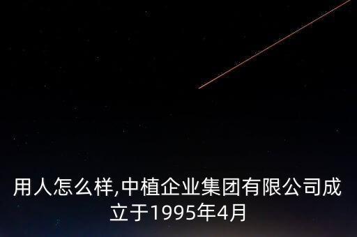 中植用人怎么樣,中植企業(yè)集團有限公司成立于1995年4月
