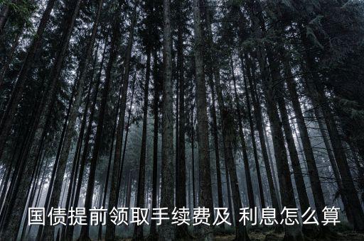  國債提前領(lǐng)取手續(xù)費(fèi)及 利息怎么算