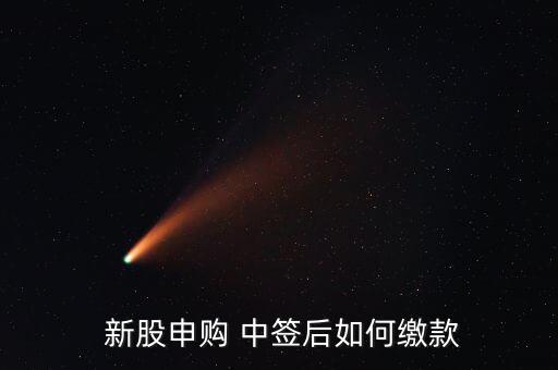  新股申購 中簽后如何繳款