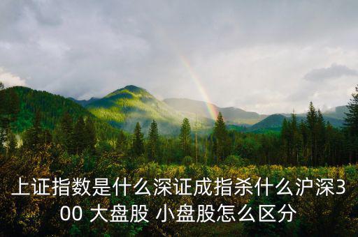 上證指數(shù)是什么深證成指殺什么滬深300 大盤股 小盤股怎么區(qū)分