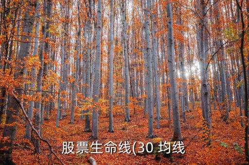 股票生命線(30 均線