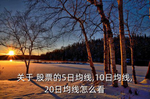 關(guān)于 股票的5日均線(xiàn),10日均線(xiàn),20日均線(xiàn)怎么看
