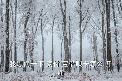 我想問(wèn)一下 支付 寶借唄卡怎么 開通