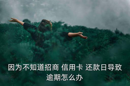 因為不知道招商 信用卡 還款日導致逾期怎么辦
