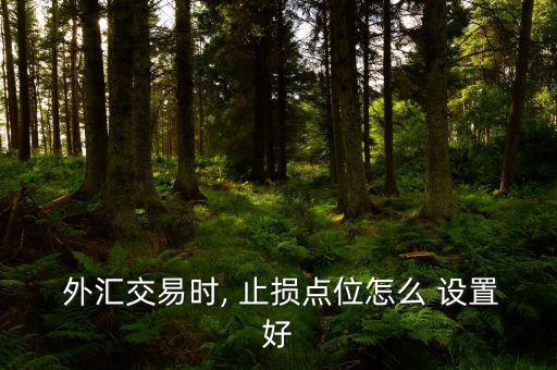  外匯交易時, 止損點位怎么 設(shè)置好