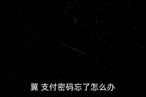 翼 支付密碼忘了怎么辦