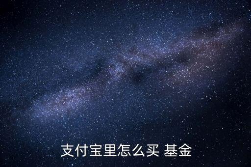  支付寶里怎么買(mǎi) 基金