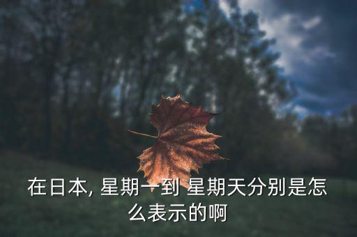 韓國(guó)怎么稱星期,新加坡人怎么稱呼日環(huán)星?