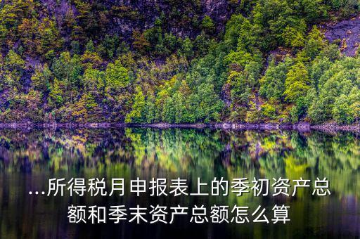 ...所得稅月申報(bào)表上的季初資產(chǎn)總額和季末資產(chǎn)總額怎么算
