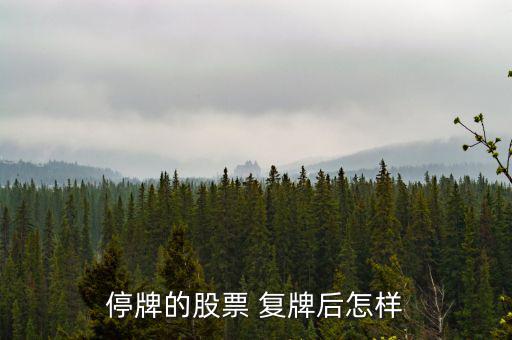 停牌的股票 復(fù)牌后怎樣