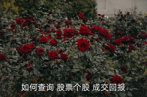 如何查詢(xún) 股票個(gè)股 成交回報(bào)